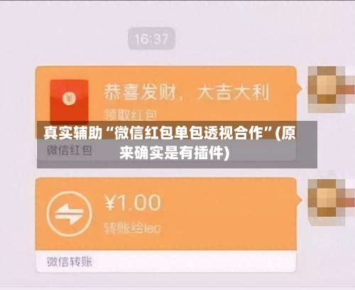 真实辅助“微信红包单包透视合作	”(原来确实是有插件)-第1张图片