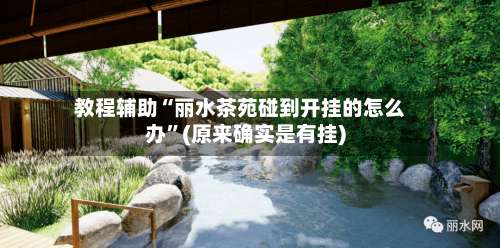 教程辅助“丽水茶苑碰到开挂的怎么办”(原来确实是有挂)-第1张图片