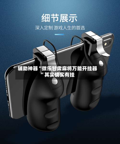 辅助神器“微乐甘肃麻将万能开挂器	”其实确实有挂-第2张图片