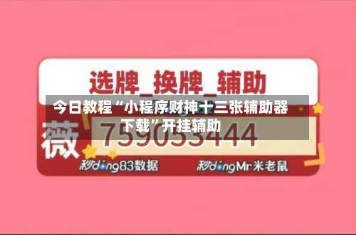 今日教程“小程序财神十三张辅助器下载”开挂辅助-第1张图片