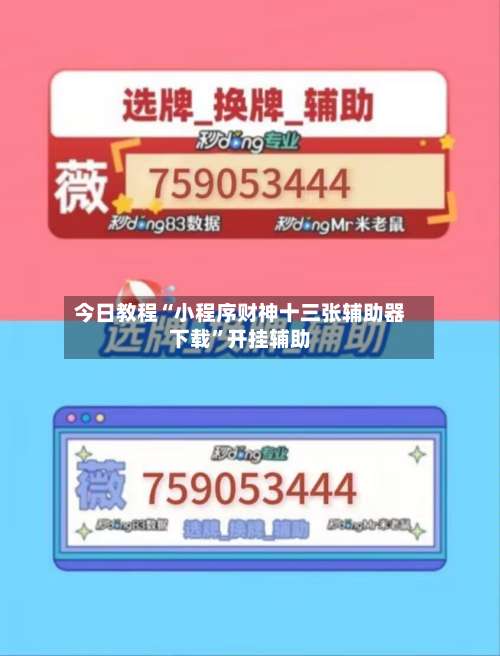今日教程“小程序财神十三张辅助器下载”开挂辅助-第3张图片