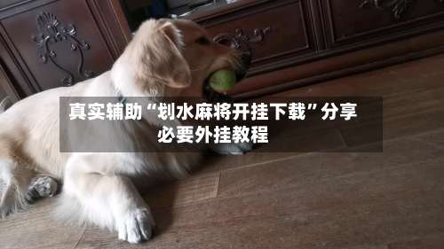 真实辅助“划水麻将开挂下载	”分享必要外挂教程-第2张图片