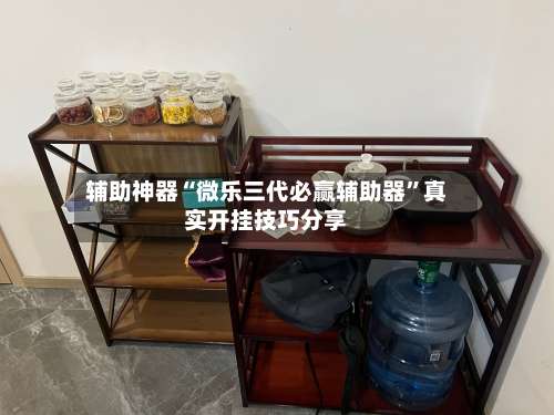 辅助神器“微乐三代必赢辅助器”真实开挂技巧分享-第1张图片