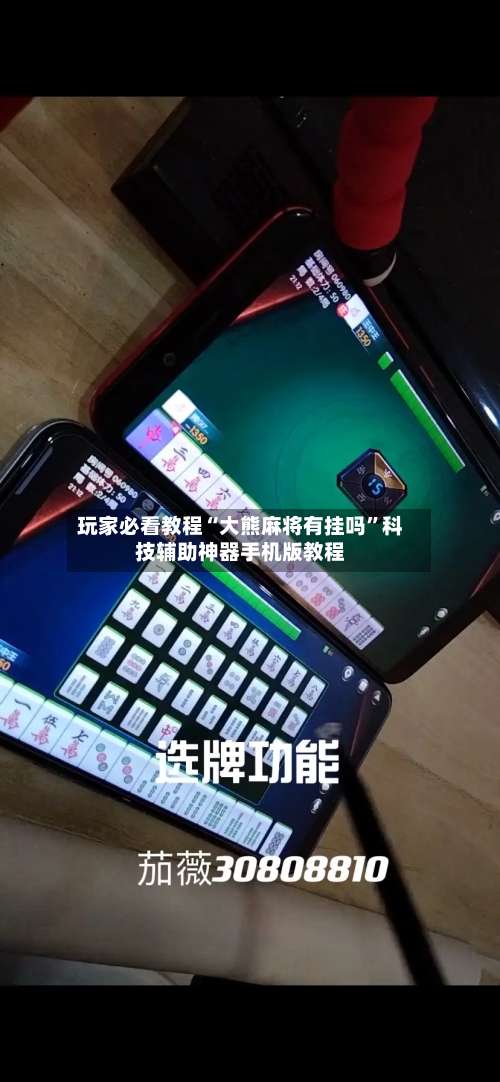 玩家必看教程“大熊麻将有挂吗	”科技辅助神器手机版教程-第2张图片