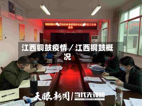 江西铜鼓疫情/江西铜鼓概况-第3张图片