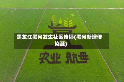 黑龙江黑河发生社区传播(黑河新增传染源)-第2张图片