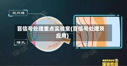 盲信号处理重点实验室(盲信号处理及应用)-第3张图片