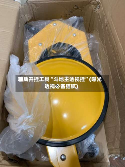 辅助开挂工具“斗地主透视挂”(曝光透视必备猫腻)-第1张图片