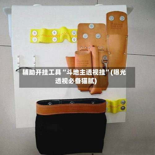 辅助开挂工具“斗地主透视挂	”(曝光透视必备猫腻)-第2张图片