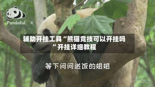 辅助开挂工具“熊猫竞技可以开挂吗”开挂详细教程-第1张图片