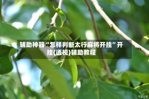 辅助神器“怎样判断太行麻将开挂”开挂(透视)辅助教程-第1张图片