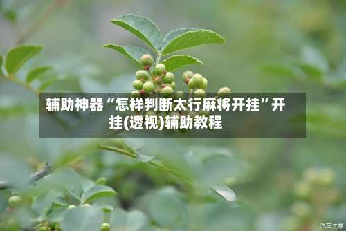 辅助神器“怎样判断太行麻将开挂”开挂(透视)辅助教程-第2张图片