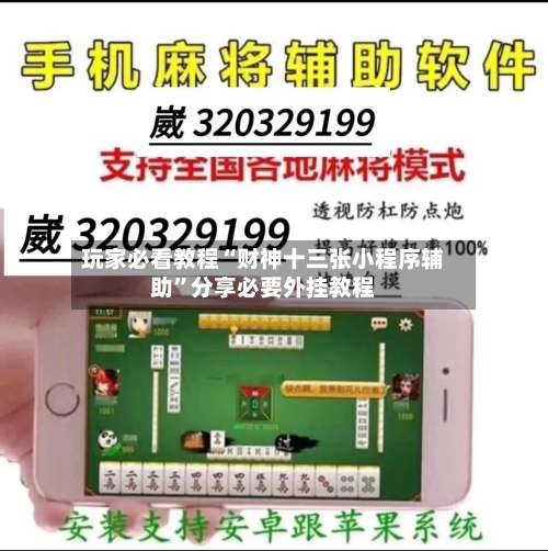 玩家必看教程“财神十三张小程序辅助”分享必要外挂教程-第2张图片
