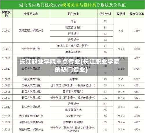 长江职业学院重点专业(长江职业学院的热门专业)-第1张图片