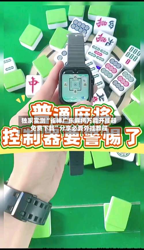 独家实测“雀神广东麻将万能开挂器免费下载”分享必要外挂教程-第3张图片