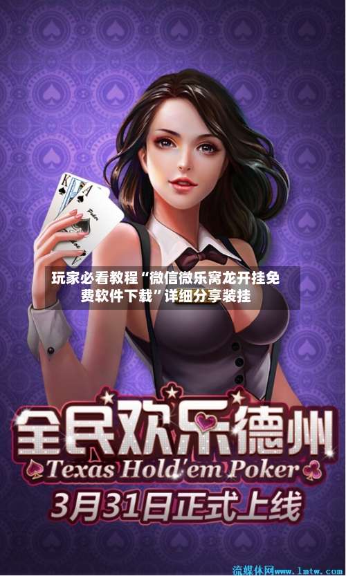 玩家必看教程“微信微乐窝龙开挂免费软件下载”详细分享装挂-第2张图片