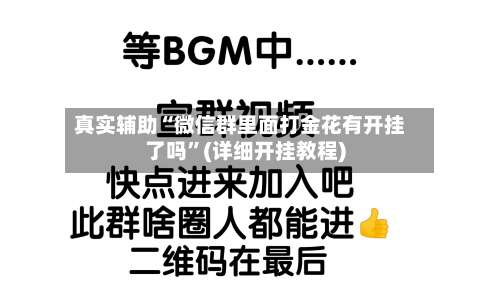 真实辅助“微信群里面打金花有开挂了吗”(详细开挂教程)-第3张图片