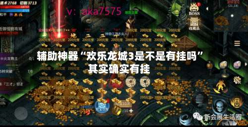 辅助神器“欢乐龙城3是不是有挂吗”其实确实有挂-第3张图片