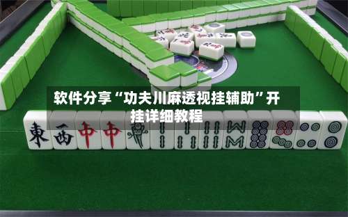 软件分享“功夫川麻透视挂辅助	”开挂详细教程-第2张图片