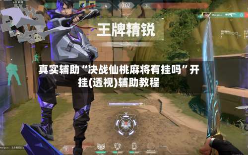 真实辅助“决战仙桃麻将有挂吗”开挂(透视)辅助教程-第3张图片