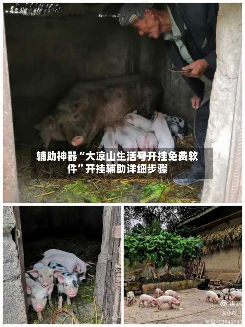 辅助神器“大凉山生活号开挂免费软件”开挂辅助详细步骤-第1张图片