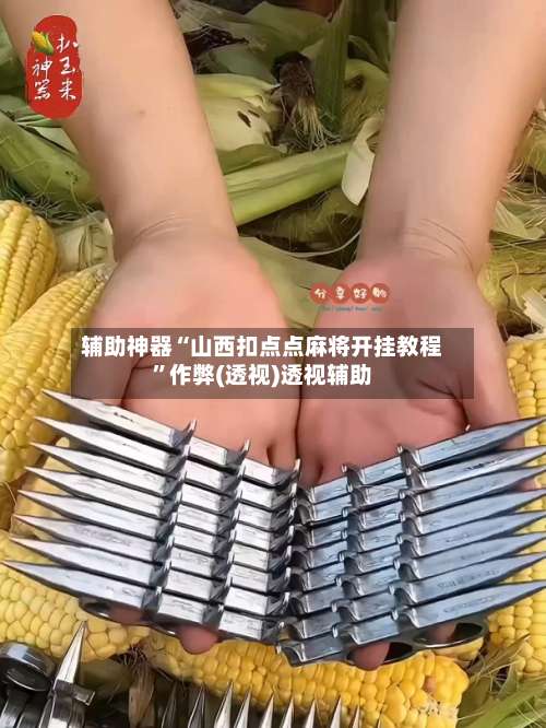 辅助神器“山西扣点点麻将开挂教程”作弊(透视)透视辅助-第1张图片