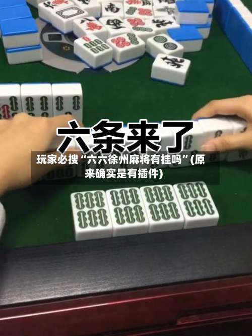 玩家必搜“六六徐州麻将有挂吗”(原来确实是有插件)-第2张图片