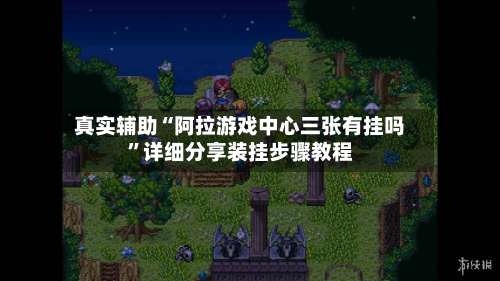 真实辅助“阿拉游戏中心三张有挂吗”详细分享装挂步骤教程-第2张图片