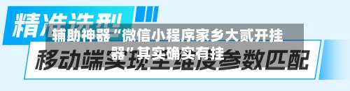 辅助神器“微信小程序家乡大贰开挂器	”其实确实有挂-第1张图片
