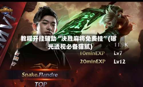 教程开挂辅助“决胜麻将免费挂”(曝光透视必备猫腻)-第3张图片