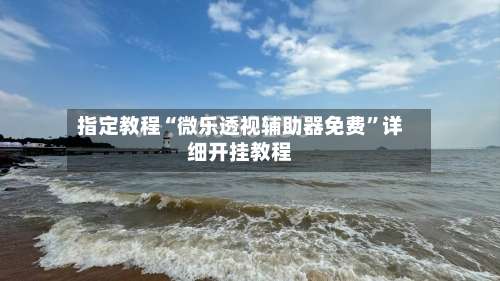 指定教程“微乐透视辅助器免费”详细开挂教程-第1张图片