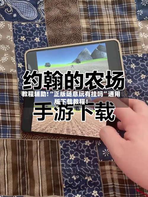 教程辅助!“正版随意玩有挂吗”通用版下载教程！-第1张图片