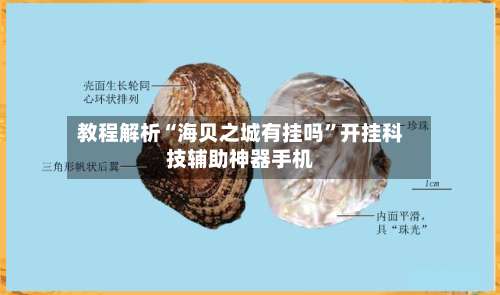 教程解析“海贝之城有挂吗”开挂科技辅助神器手机-第2张图片