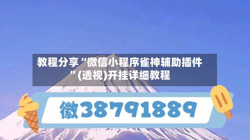 教程分享“微信小程序雀神辅助插件	”(透视)开挂详细教程-第2张图片
