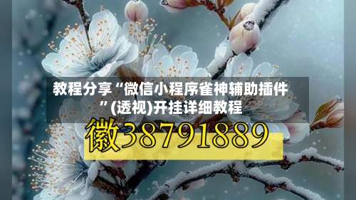 教程分享“微信小程序雀神辅助插件”(透视)开挂详细教程-第1张图片