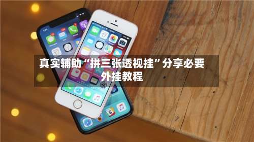 真实辅助“拼三张透视挂”分享必要外挂教程-第2张图片