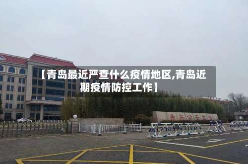 【青岛最近严查什么疫情地区,青岛近期疫情防控工作】-第3张图片