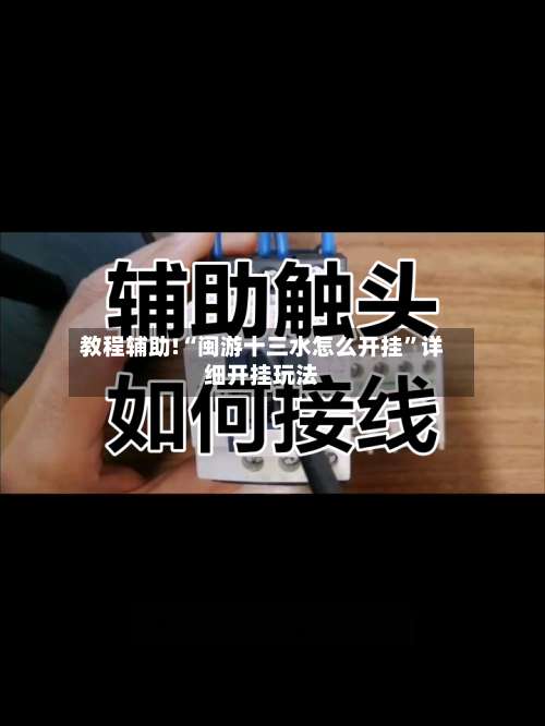 教程辅助!“闽游十三水怎么开挂”详细开挂玩法-第2张图片