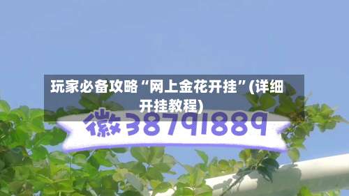 玩家必备攻略“网上金花开挂”(详细开挂教程)-第2张图片