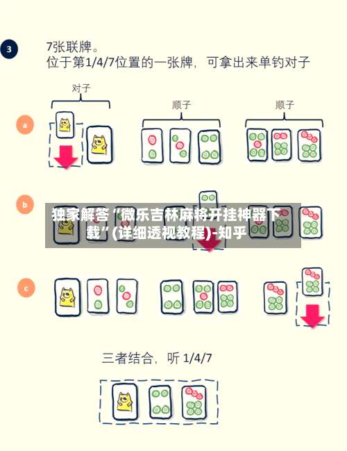 独家解答“微乐吉林麻将开挂神器下载”(详细透视教程)-知乎-第2张图片