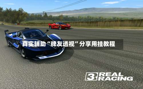 真实辅助“牌友透视”分享用挂教程-第2张图片