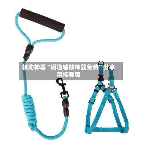 辅助神器“闲逸辅助神器免费	”分享用挂教程-第1张图片