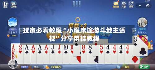 玩家必看教程“小程序途游斗地主透视	”分享用挂教程-第2张图片