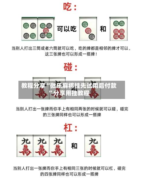 教程分享“微乐麻将挂先试用后付款”分享用挂教程-第2张图片