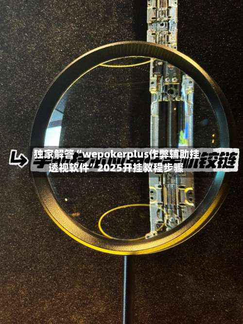 独家解答“wepokerplus作弊辅助挂透视软件	”2025开挂教程步骤-第2张图片