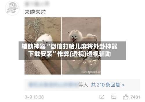 辅助神器“微信打哈儿麻将外卦神器下载安装	”作弊(透视)透视辅助-第1张图片