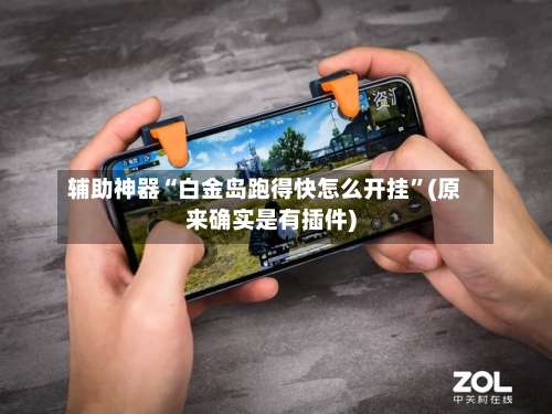 辅助神器“白金岛跑得快怎么开挂”(原来确实是有插件)-第3张图片