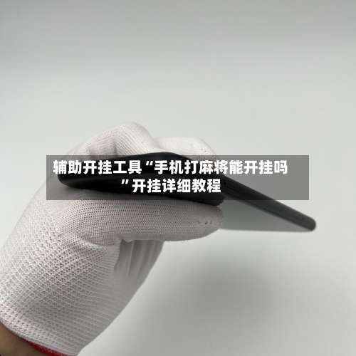 辅助开挂工具“手机打麻将能开挂吗”开挂详细教程-第3张图片