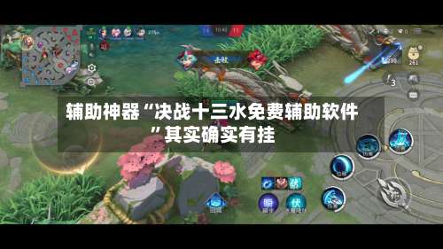 辅助神器“决战十三水免费辅助软件”其实确实有挂-第2张图片