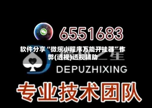 软件分享“微乐小程序万能开挂器”作弊(透视)透视辅助-第1张图片